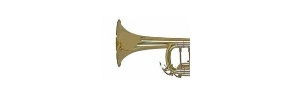 Trompete / Flügelhorn