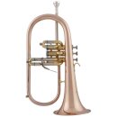 ARNOLDS & SONS Fl&uuml;gelhorn AFH-655G, Monel...