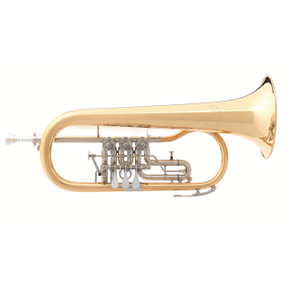 B&S Fl&uuml;gelhorn B&S 3017/2TR