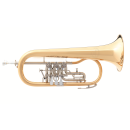 B&S Fl&uuml;gelhorn B&S 3017/2TR