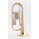 LIDL Fl&uuml;gelhorn Model LFH-742 G "Supertone...