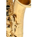 SELMER Altsaxophon Modell AXOS Goldlack, mit Gravur, Etui Axos, Mundst&uuml;ck Selmer S80 C+ B-Ware